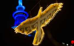Kāhu Korako (part of Tūrama). For Ngāti Whātua Ōrākei, Kāhu symbolise knowledge, leadership and vision, all key attributes of chiefs, rangatira, Ariki.