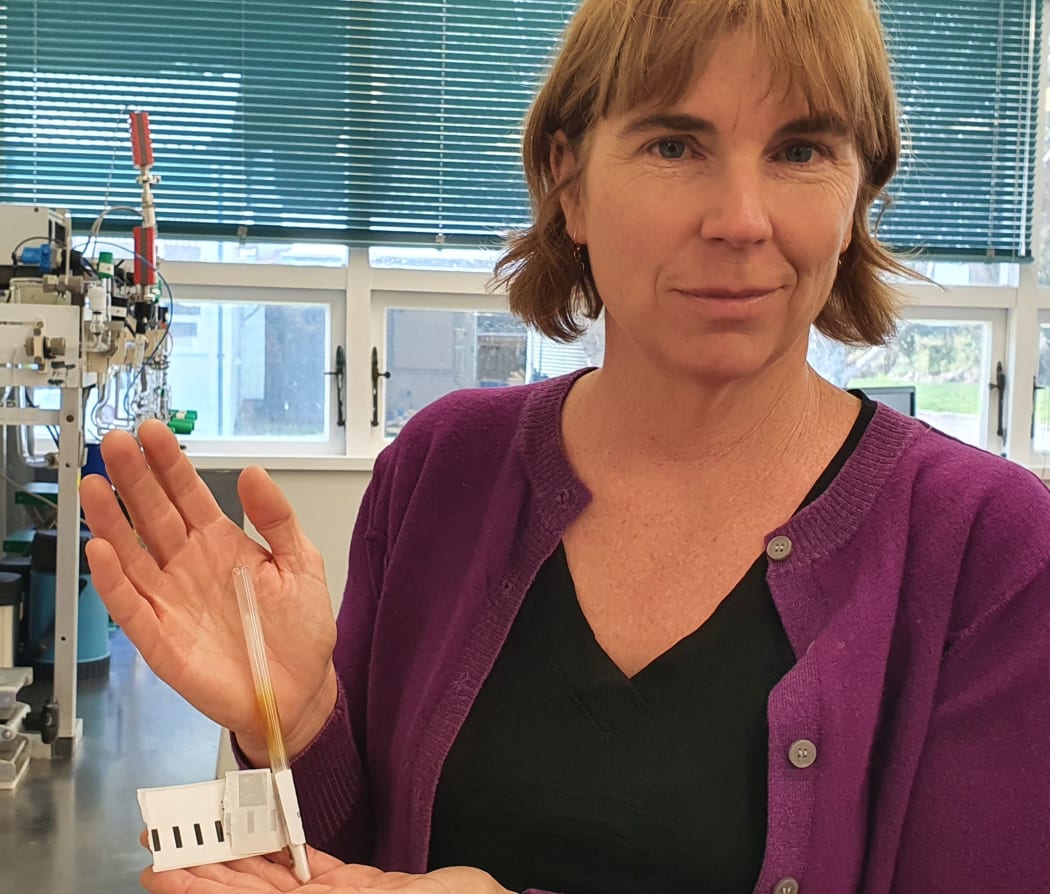 Jocelyn Turnbull holds a sample of grass which has been sealed in a quartz glass tube, ready for processing in the Rafter Radiocarbon Lab at GNS Science.