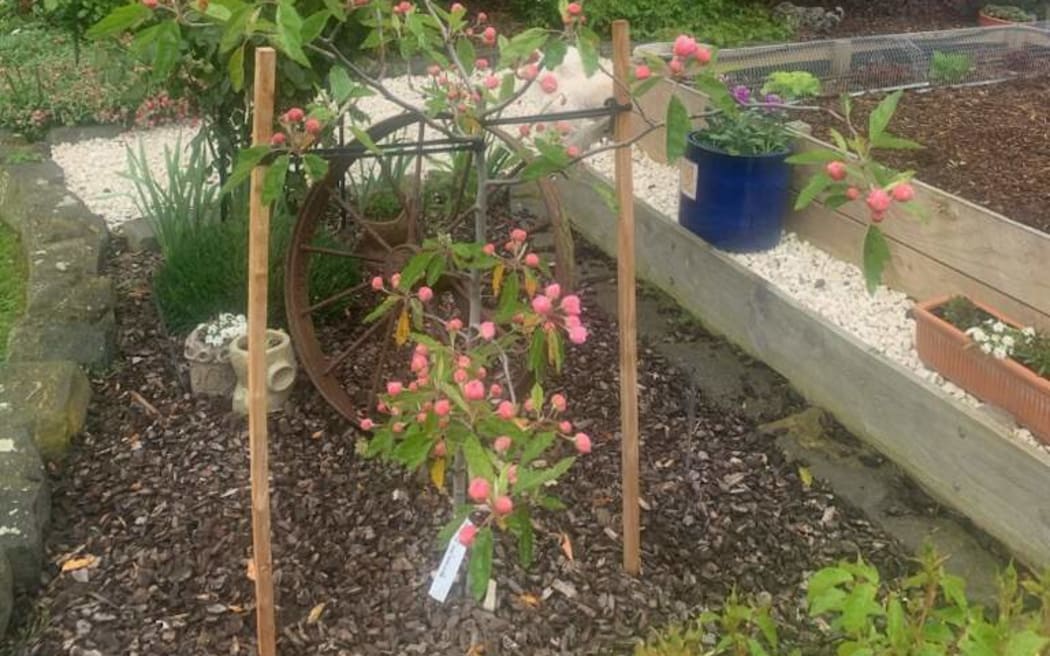 The couple who lived next door to the Dickason family have planted a memorial in their garden to remember the three girls who were killed.