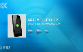 Farmers waiting months for Mycoplasma bovis compo