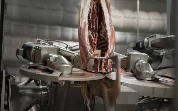 High tech automated meat processing rig for Otago plant | RNZ