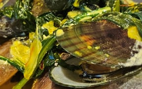 Mussels with Fennel, Crème fraiche and Saffron