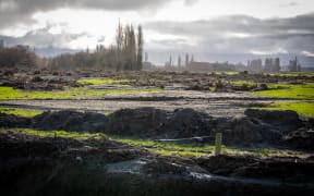 Silt and debris on an Ashburton farm called Anna Dale, three weeks on from flooding that hit the region.