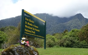 A single bunch of flowers by the entrance to the Fox Glacier.