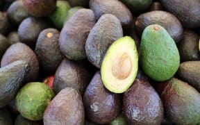 Hass avocado