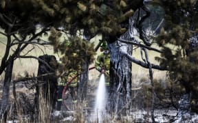 Firefighters work to put out a blaze near State Highway 1 near Burnham in Canterbury.