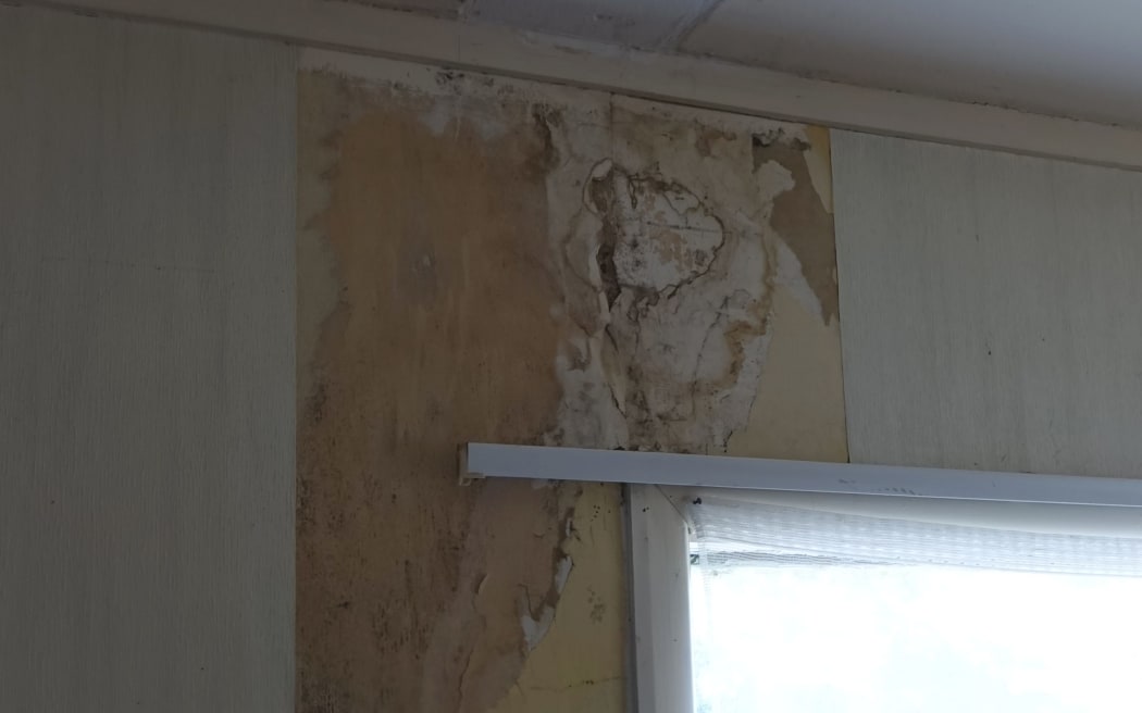 Brown mould had to be chiselled off the wall.
