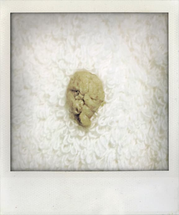 Nina Simone's Gum