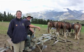 Working horses at Erewhon Station