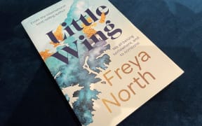 Little Wing by Freya North