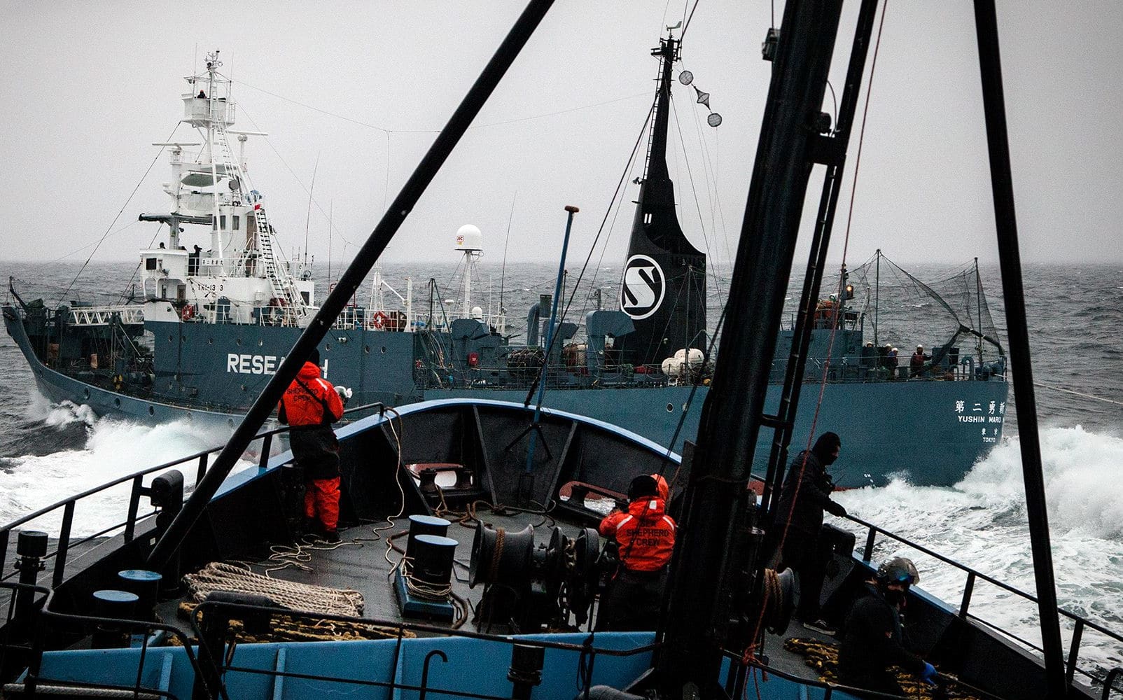 An image taken from Sea Shepherd vessel Steve Irwin showing a Japanese harpoon boat on 2 February.