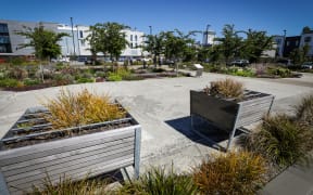 Site of the former CTV building.