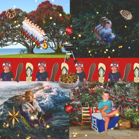 Cover art for BEACHWARE's 'Take Away The Tree'