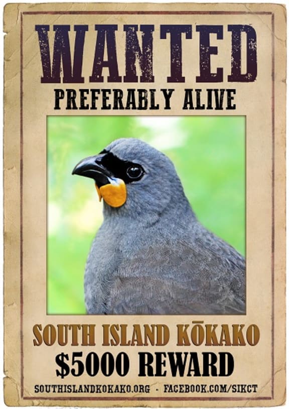 South Island Kokako Charitable Trust's poster is based on a 'tweaked' image of the North Island kokako.