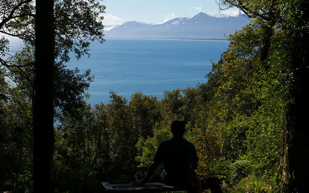 View of Jackson Bay/Okahu South Westland