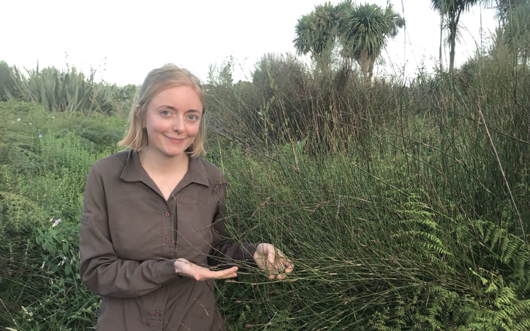 A smiling girl stands in front of a reedy bush, pointing out the vegetation.