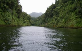 A major new exhibition about the Whanganui River will run for a year at Whanganui Regional Museum before parts of it travel to iwi and hapū in river settlements and at marae.