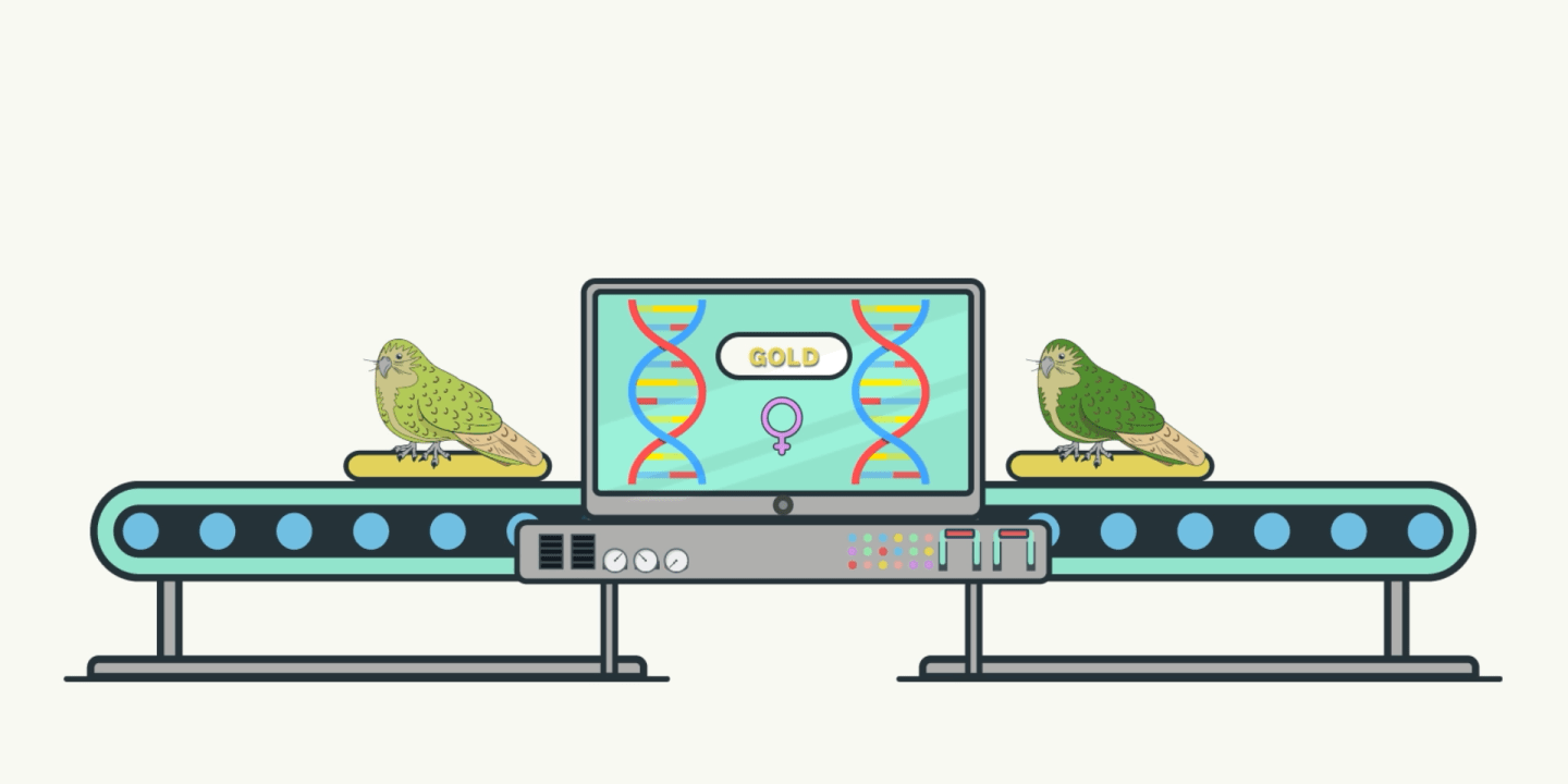 Graphic for What if...? Genomics in Aotearoa