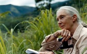 Dr Jane Goodall at Gombe