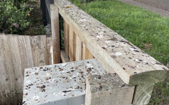 Bird poo on Dudley Street in Christchurch.