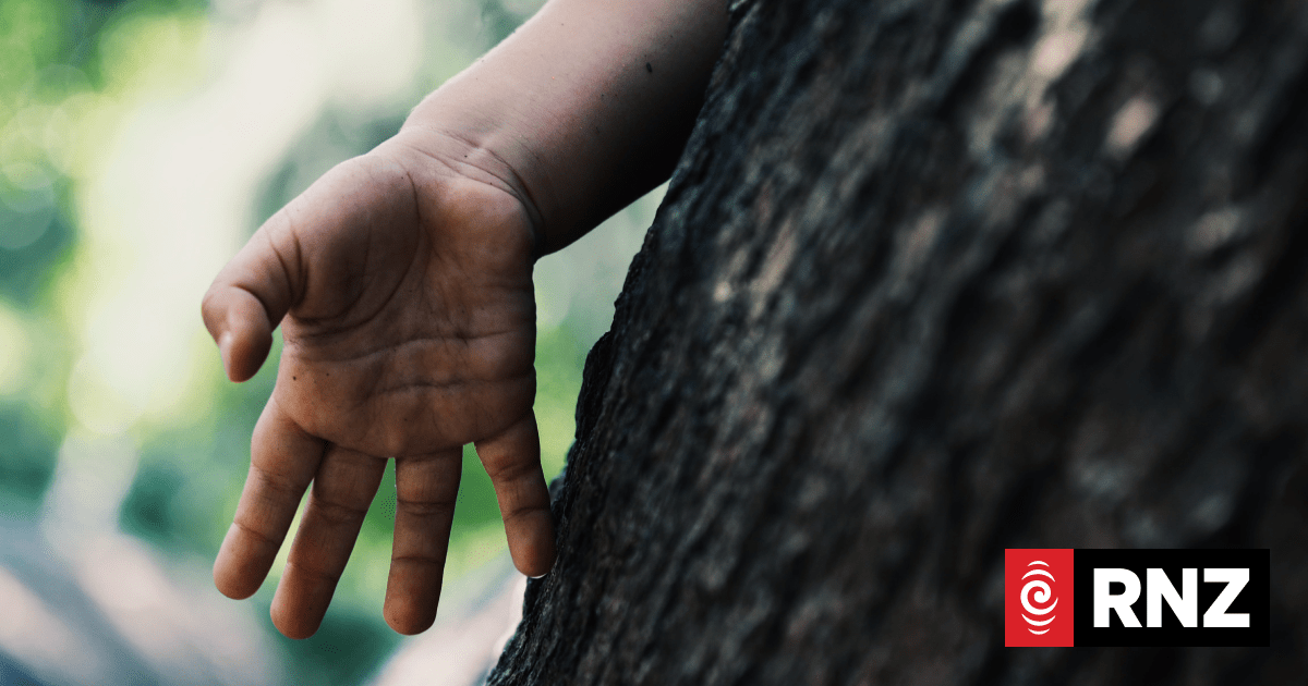 The Rights of the New Zealand Child | RNZ