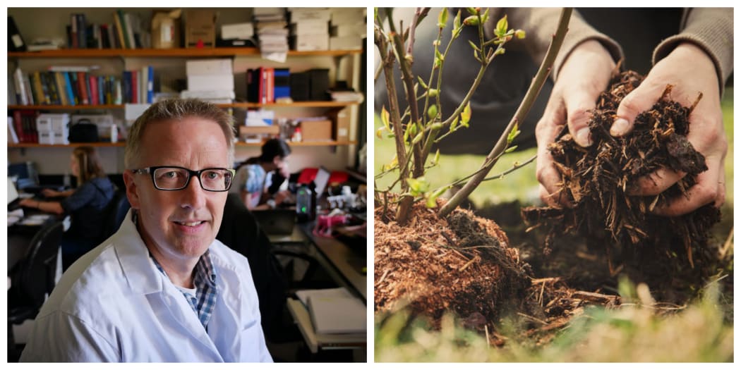 Professor Chris Lowry