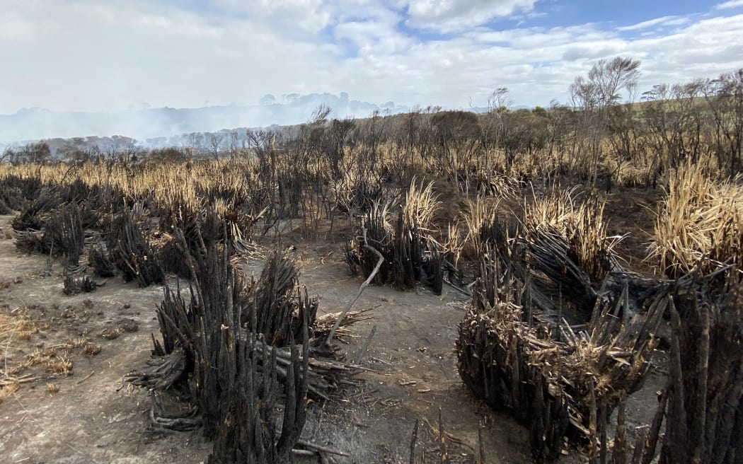 The fire has swept through a large area of pasture, scrub and wetland between Dargaville and Baylys Beach, with the thick smoke forcing some residents out of their homes.