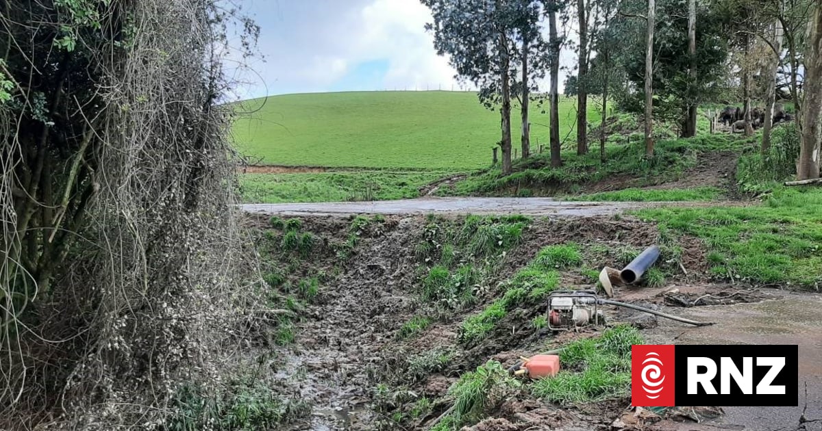 Allowing cattle effluent into stream brings home detention