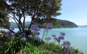 The Awaroa beachfront property was bought through contributions from the public.