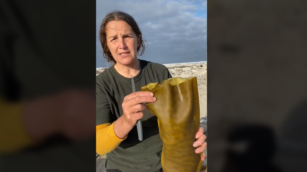 One of Terressa Kollat's most popular TikTok videos is of her using this bull kelp to cook seafood over the fire.