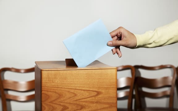 11153916 - a young woman with a voter in the voting booth. voting in a democracy