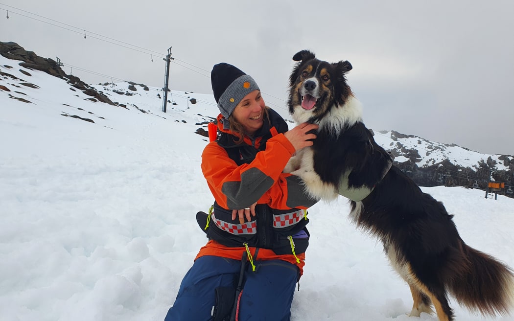 Echo the avalanche rescue dog sniffing for life in the snow RNZ