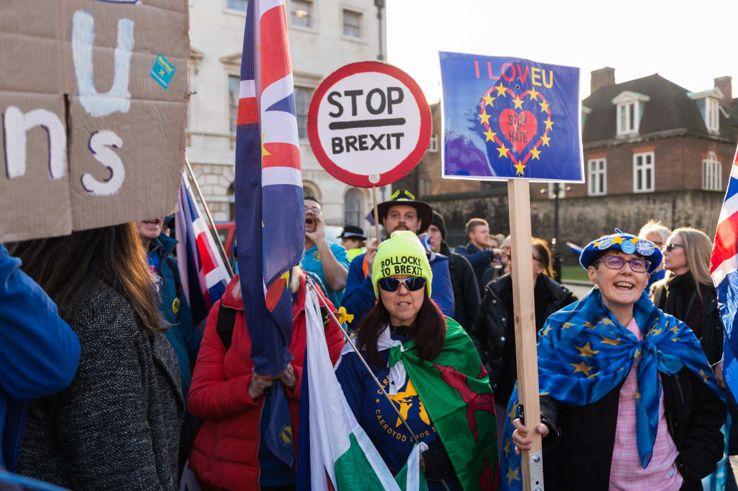 Anti-Brexit supporters protest outside the Houses of Parliament in London as they call on MPs to get Article 50 revoked and demand a People's Vote on EU membership on 14 February, 2019.