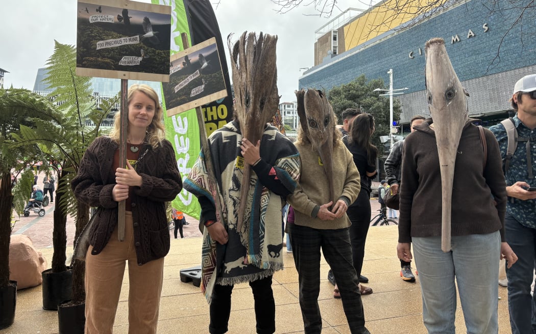Protestors against the government's Fast Track Bill carry placards and wear masks in Aotea Square on 8 June 2024.
