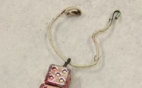A decoration found around a sparrow's neck