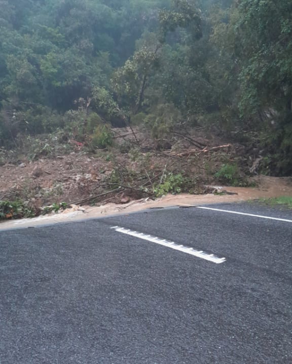 Trees and debris on the SH6 route in the Fox Hills, south of Franz Josef, after heavy rains, on 9 November, 2024.