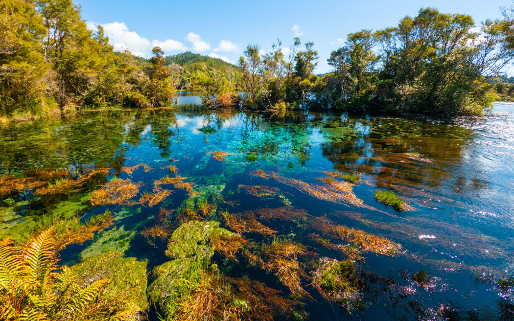 The council wants to forge ahead with plans to enshrine protections of Te Waikoropupū Springs.