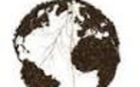 World Soil Day