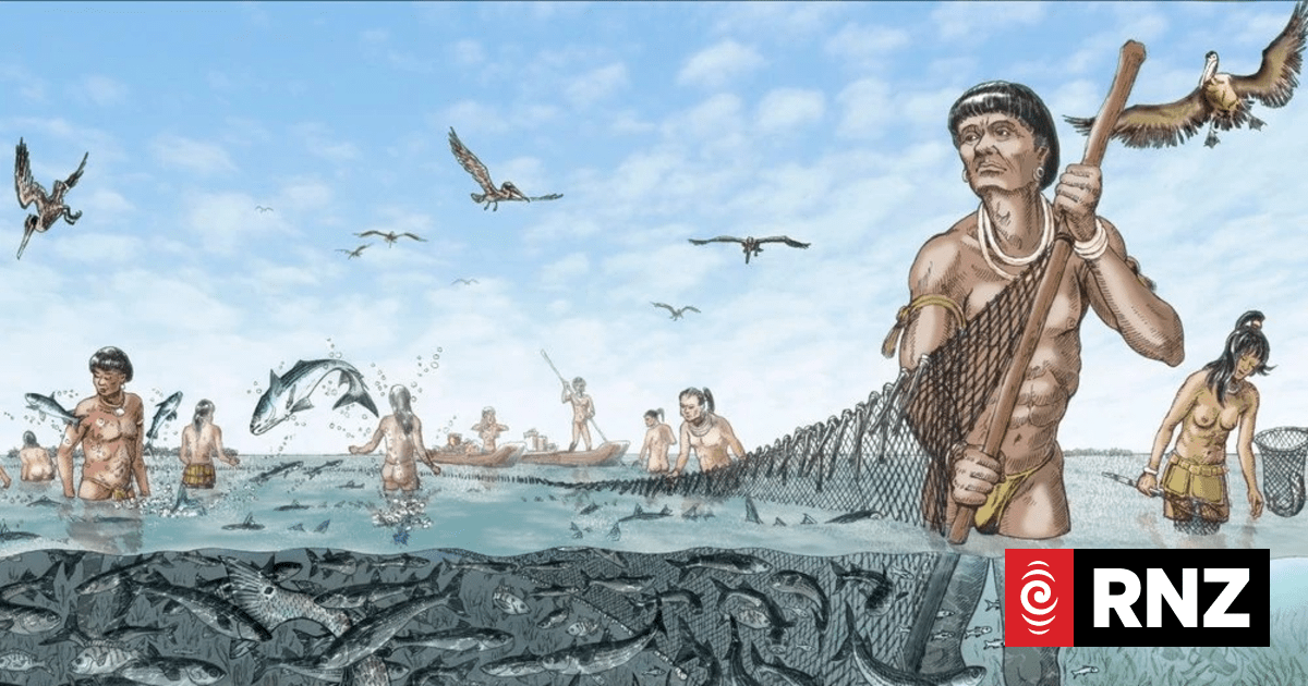 The undeniable (and underrecognised) genius of the Calusa | RNZ