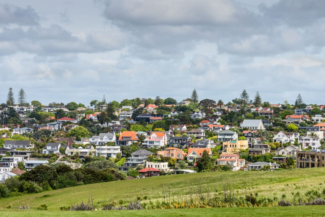 auckland housing