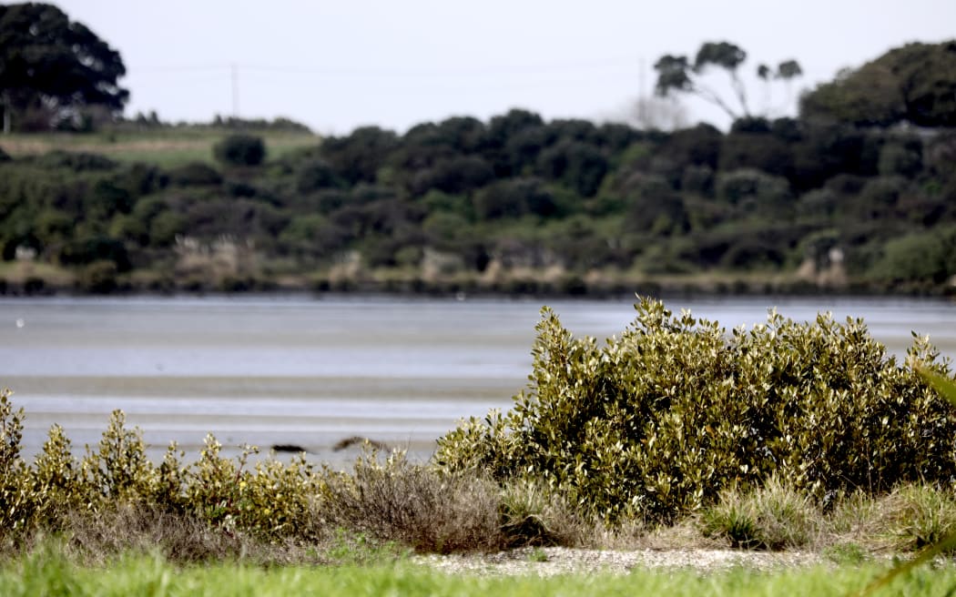 Police at Puketutu Island as a search is underway for a person missing from a boat in Auckland's Manukau Harbour.