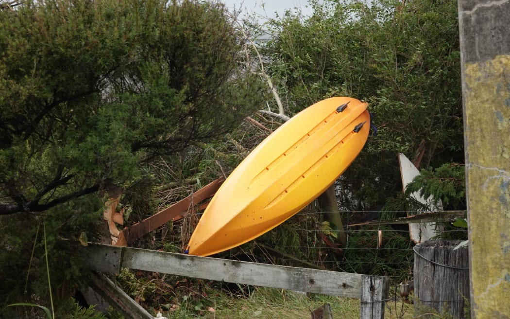 Kayak in hedgerow, Old Waipu Rd