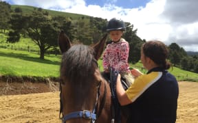 The equestrian centre at the Kauri Coast Top 10 Holiday Park holds riding lessons.