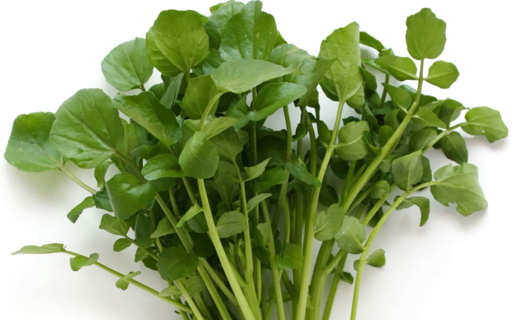 A bunch of watercress (stock image).