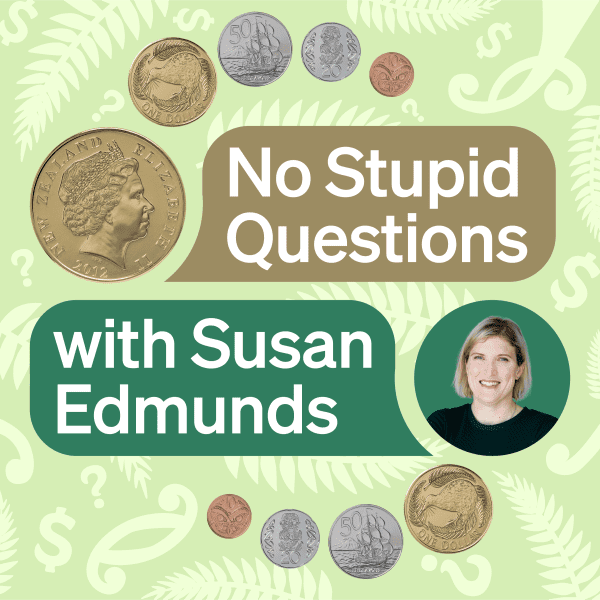 The background is a light green with a subtle pattern of dollar signs and question marks, and New Zealand banknote motifs. The title, "No Stupid Questions," is in a large gold speech bubble, and below it, "with Susan Edmunds" is in a large green speech bubble. Various New Zealand coins are scattered across the image.