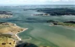 kaipara harbour