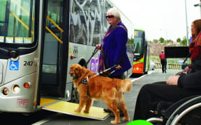 Woman getting on to bus with guide dog