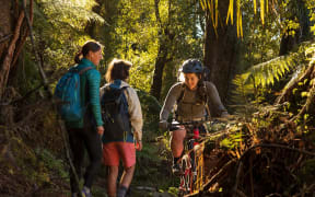 The Paparoa Track Great Walk is dual use - trampers share with mountain bikers.