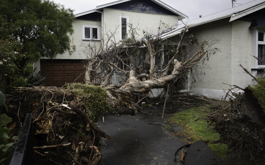A severe thunderstorm brought down trees on a property at Kings Crescent, Lower Hutt, on 12 December, 2023.