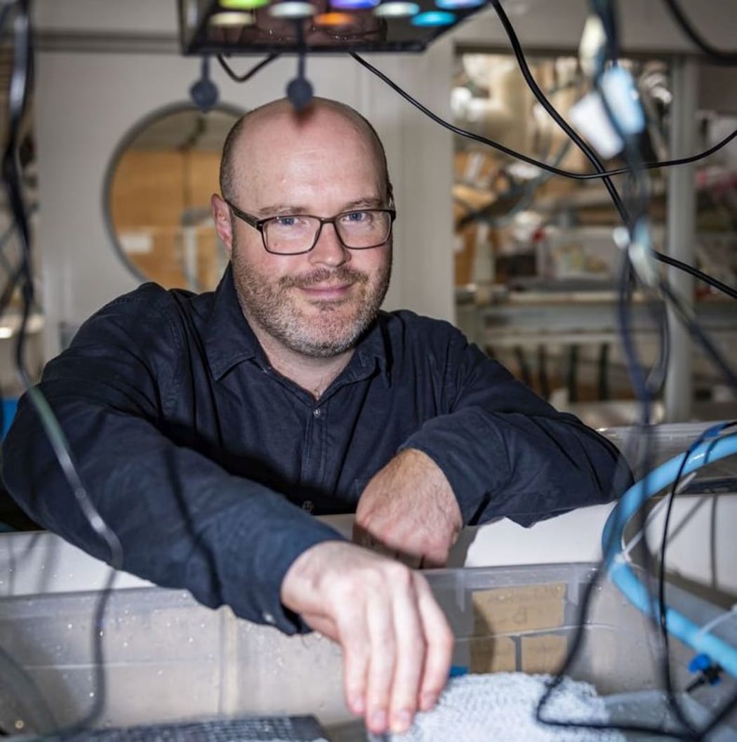 Victoria University of Wellington marine biologist Chris Cornwall has won the 2020 Prime Minister's Emerging Scientist Prize.